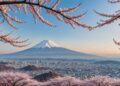 seasonal travel recommendations for japan